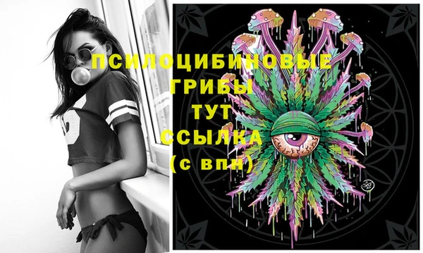 ECSTASY Нефтекумск