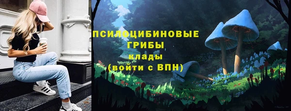 ECSTASY Нефтекумск