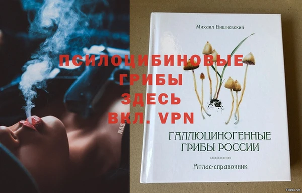 ECSTASY Нефтекумск
