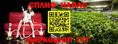 винт Донской