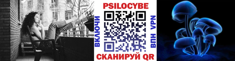 где продают наркотики  Кирово-Чепецк  Псилоцибиновые грибы Cubensis 