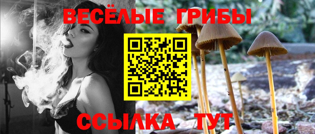 Кирово-Чепецк  Галлюциногенные грибы GOLDEN TEACHER  Вход с VPN 