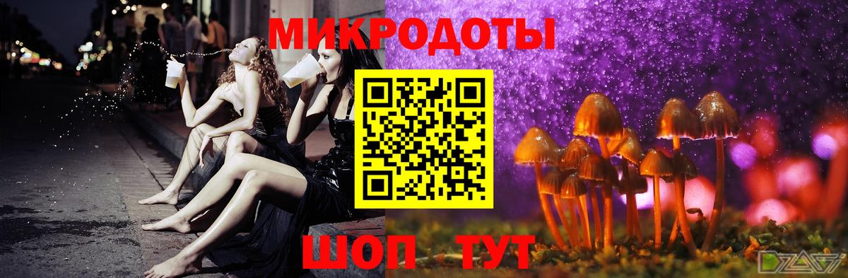 Псилоцибиновые грибы Psilocybine cubensis Кирово-Чепецк